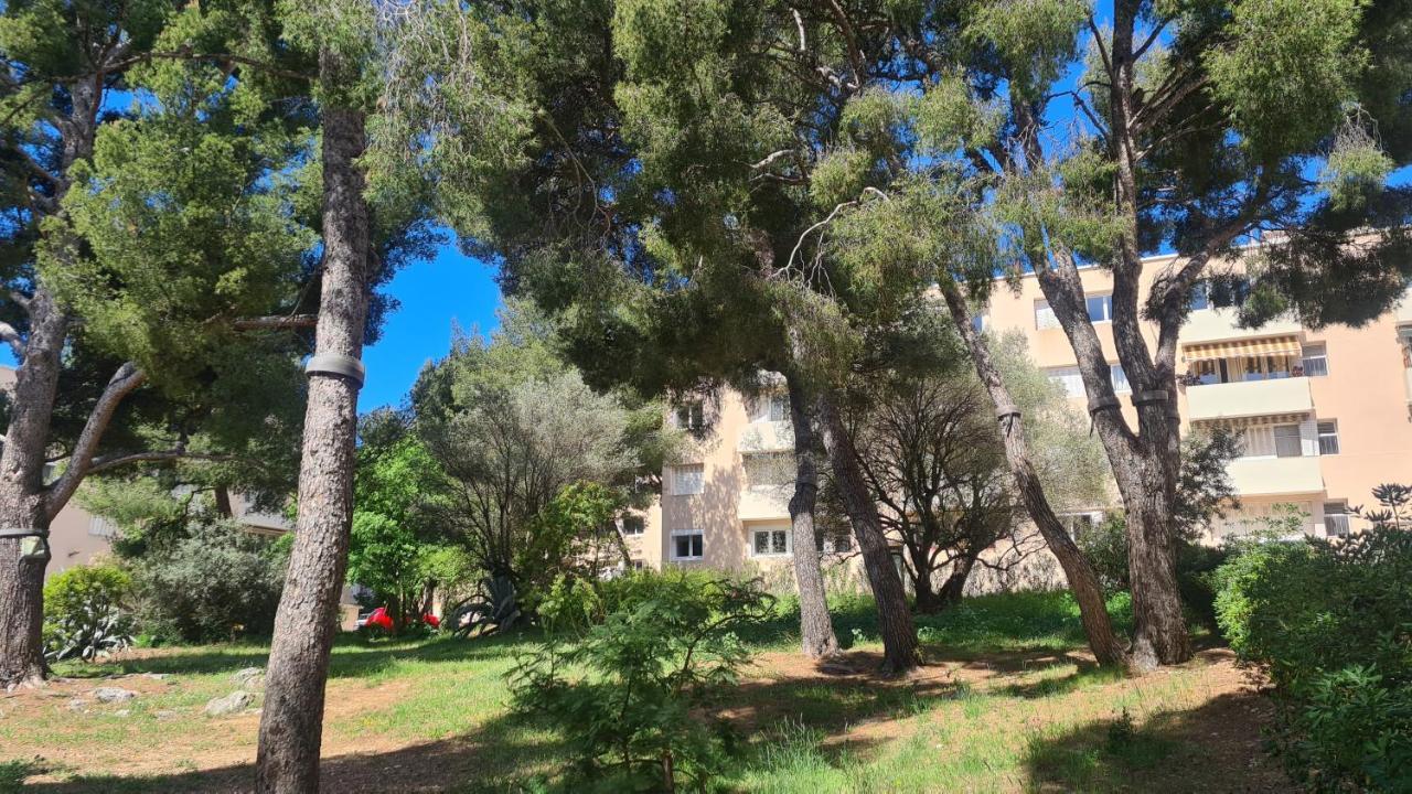 L'Oree De La Plage: Appt. Tout Confort 4/6 Pers. 400 M De La Plage 拉西约塔 外观 照片