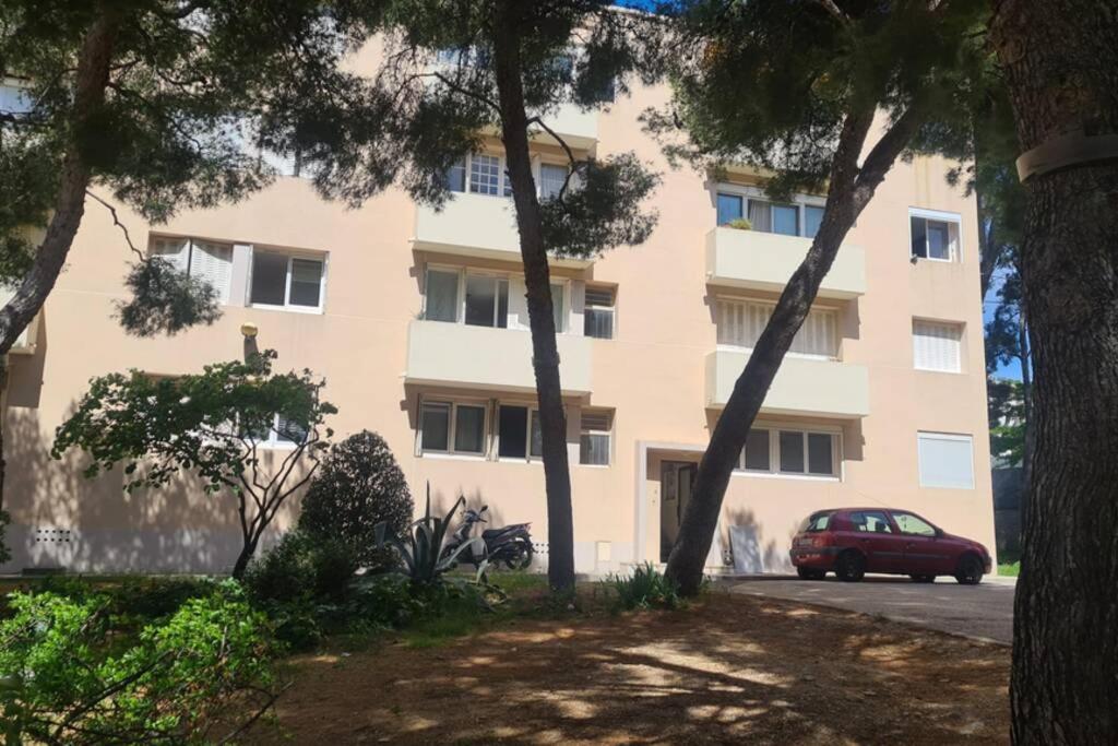 L'Oree De La Plage: Appt. Tout Confort 4/6 Pers. 400 M De La Plage 拉西约塔 外观 照片